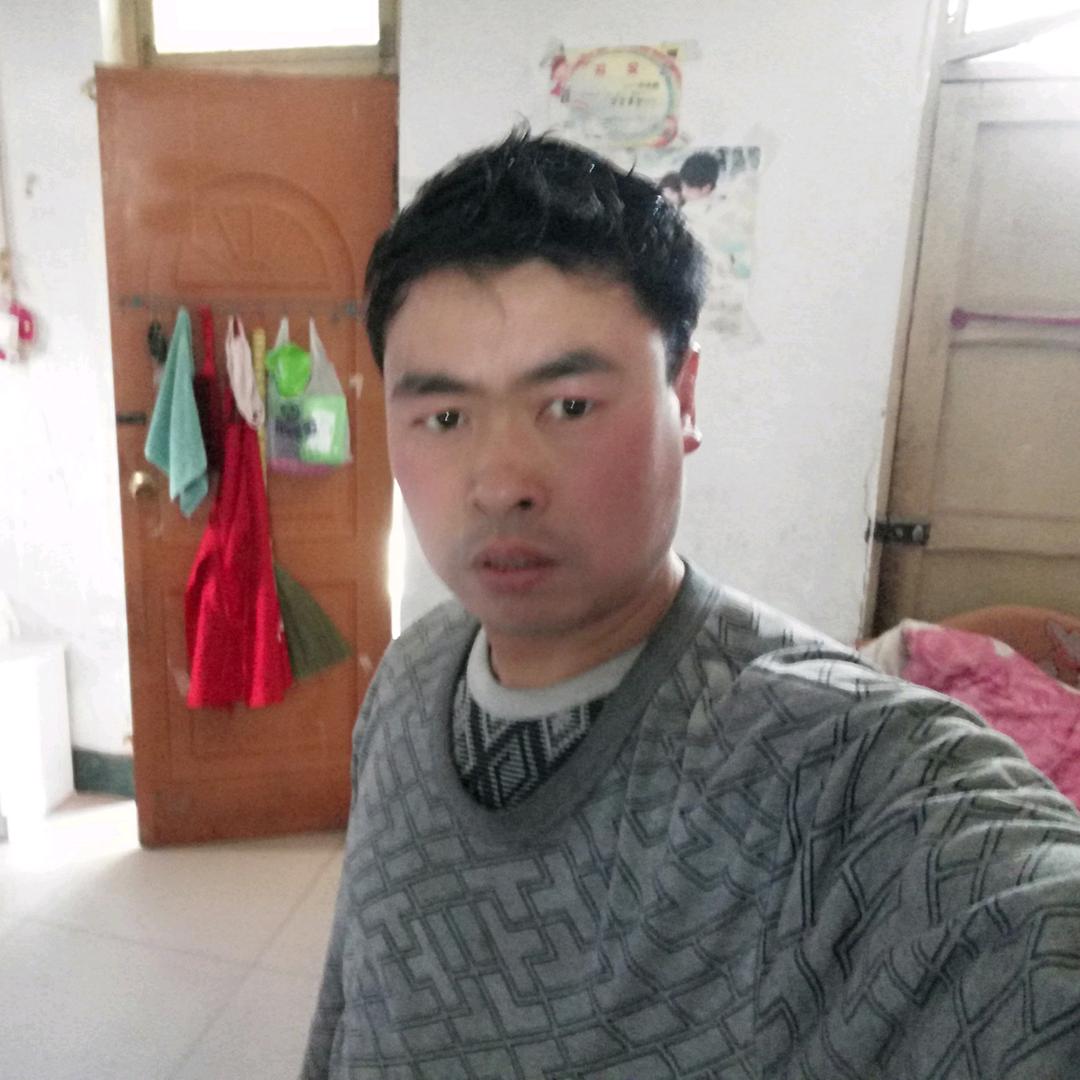 林州杨过（晚上八点开播）