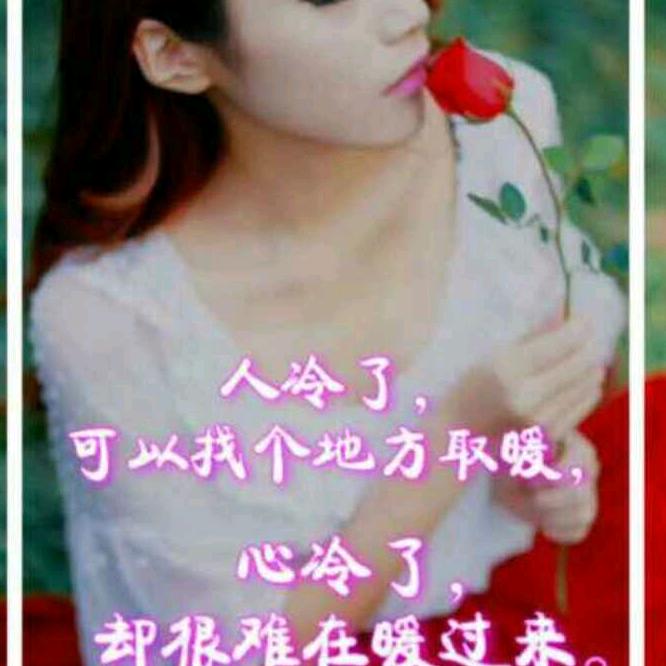 玫瑰情缘