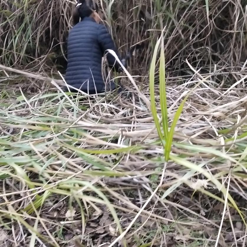 萬事开头难