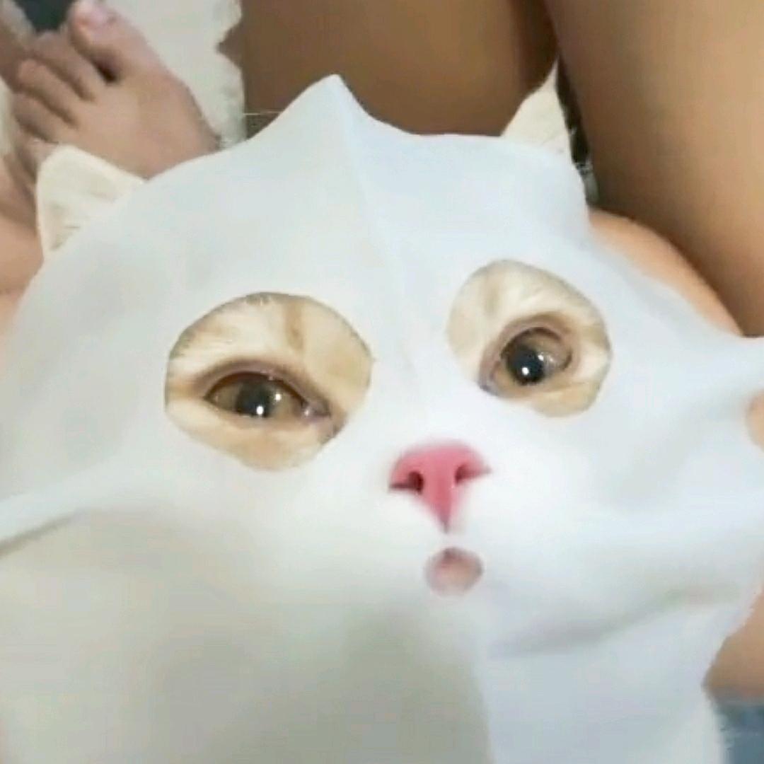 暂🈚️