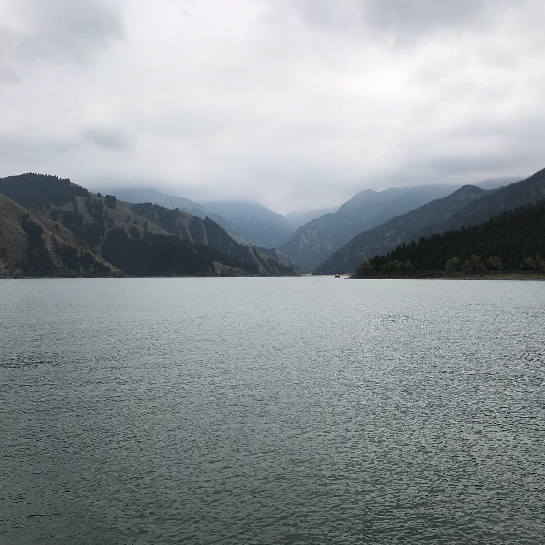 尼古拉斯王富贵