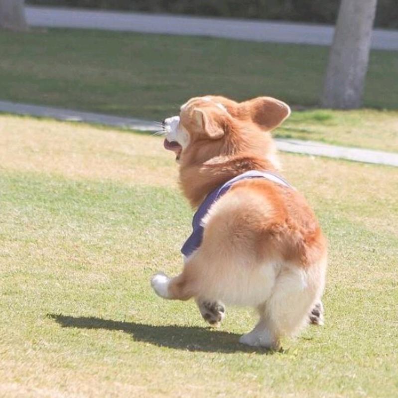 久见