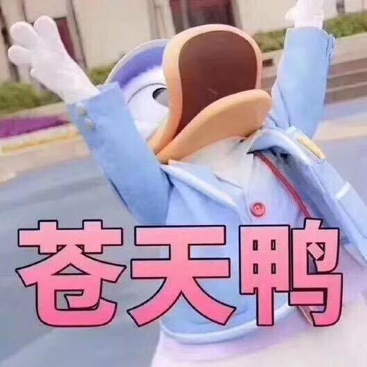 啥也不是🐻