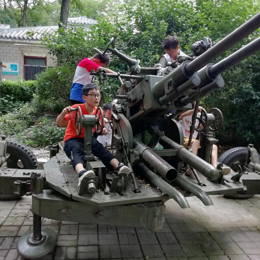 振萍