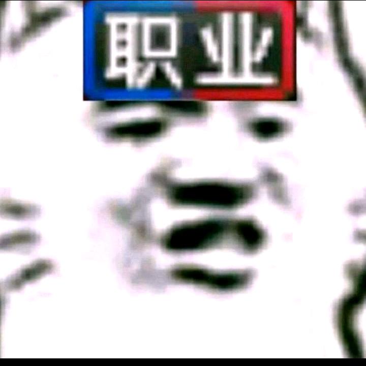 杠精大队副队长