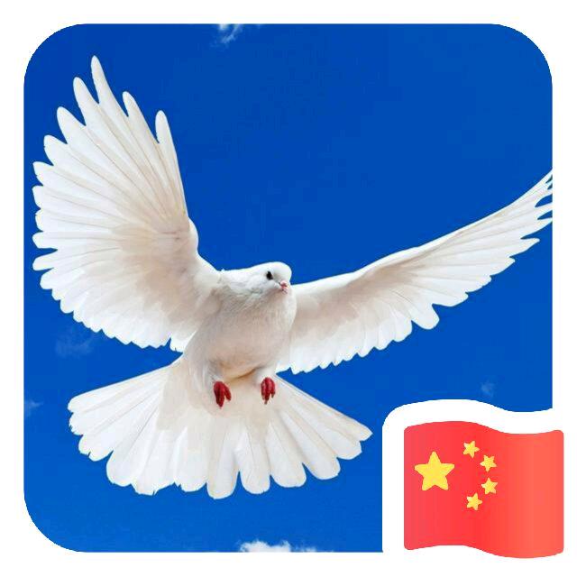 人不为
