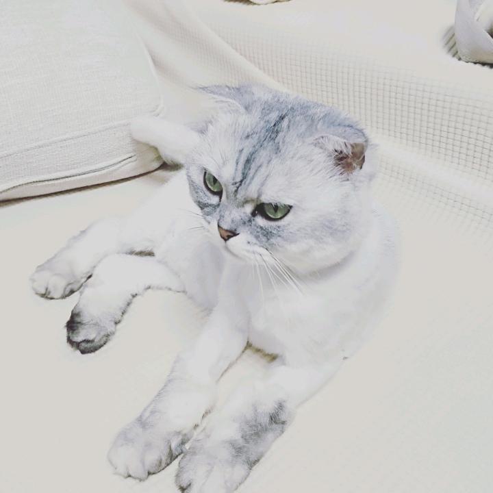 某一年某一月某一天