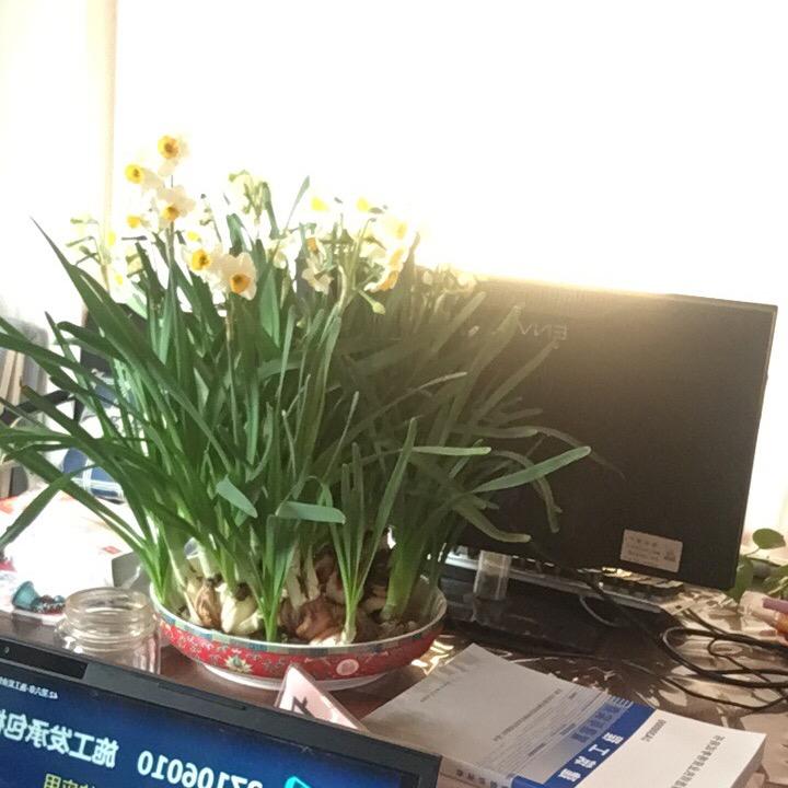 射阳经济开发区佳运房产门市