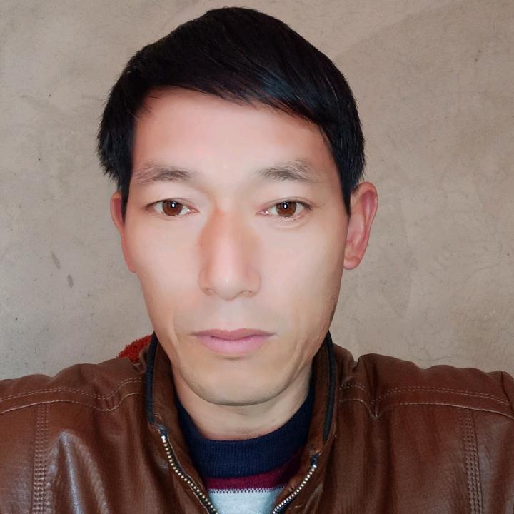 陈氏家族