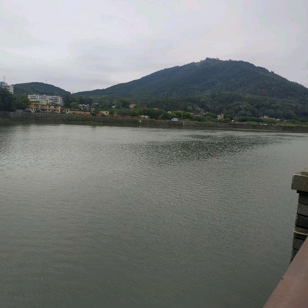 玖玖