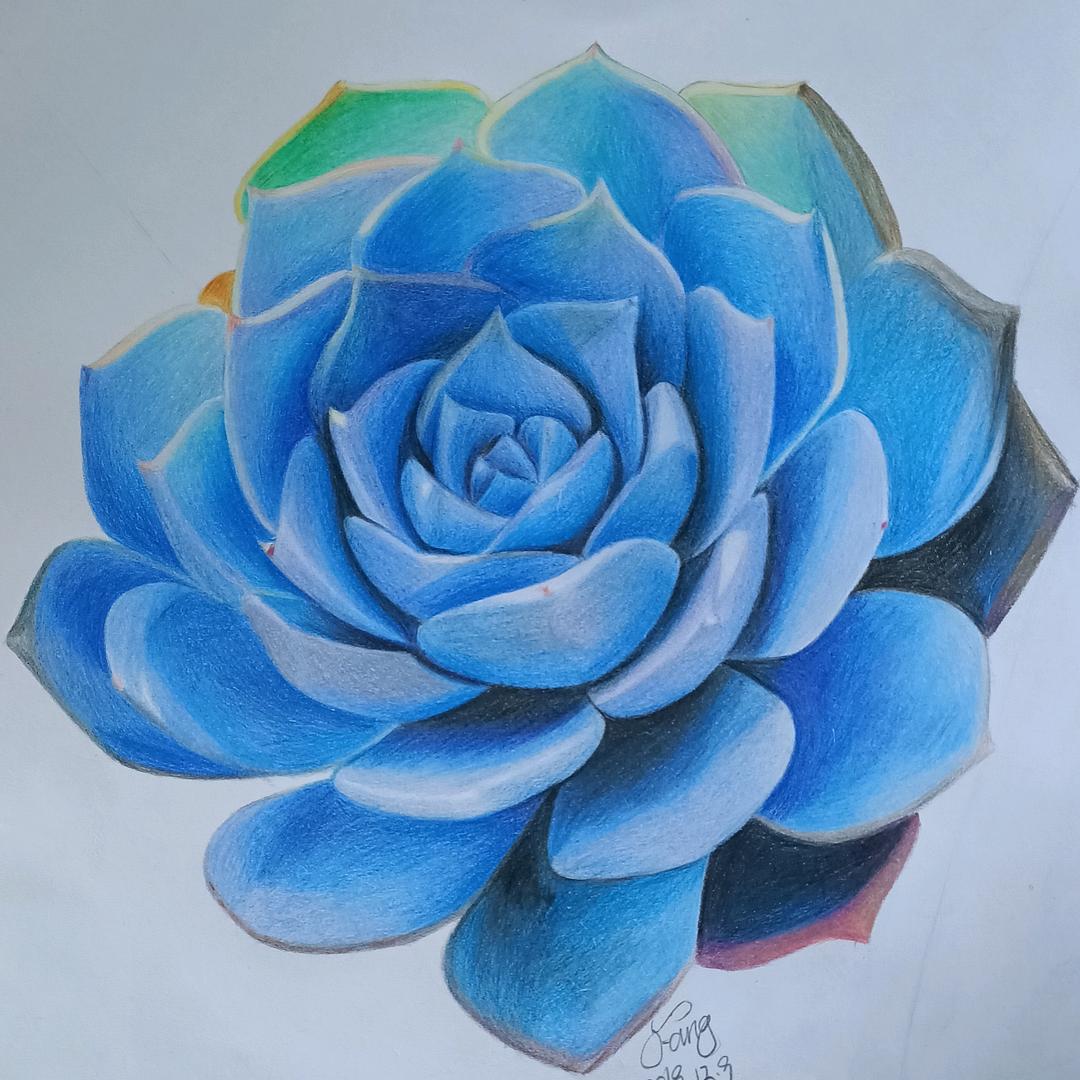 盛夏芳草