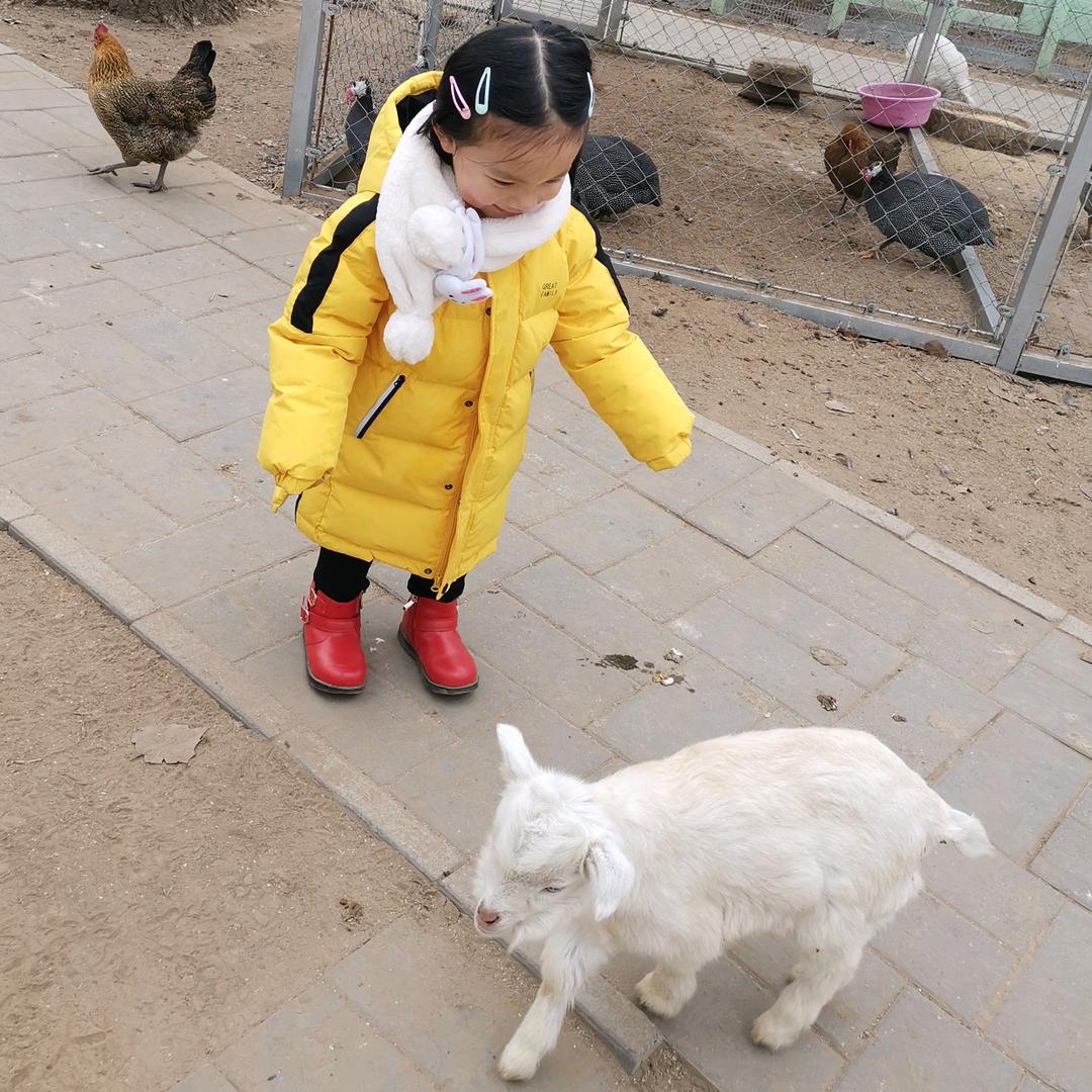 开心小宝贝