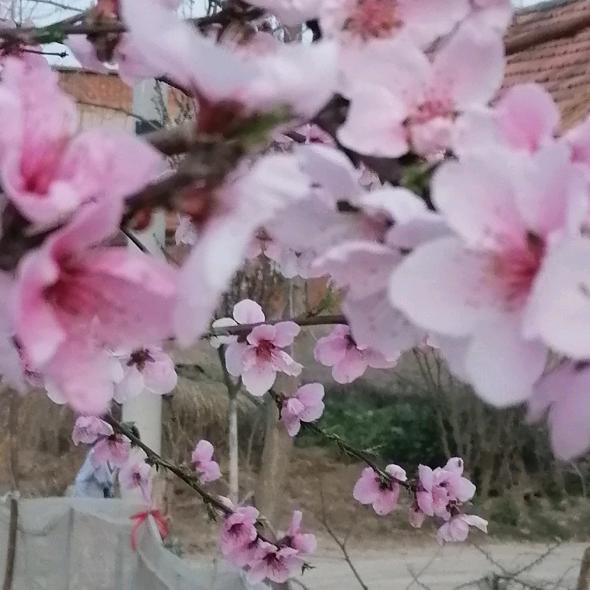 累了谁心疼