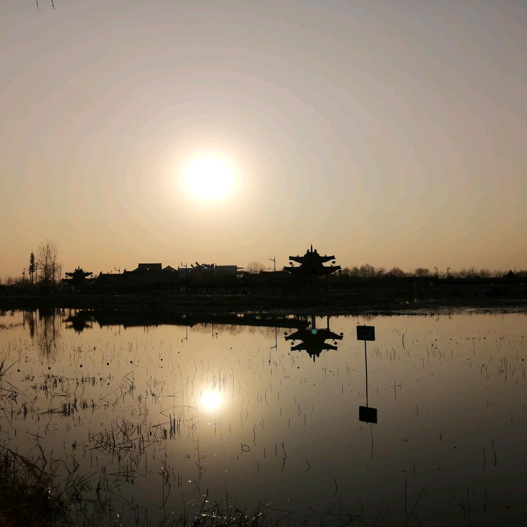 胡杨林雪（手机摄影）