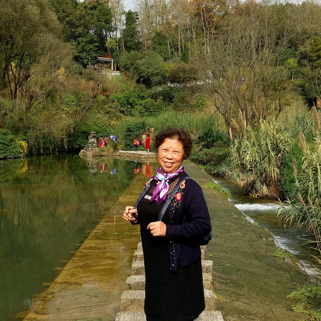 银钱花开半夏