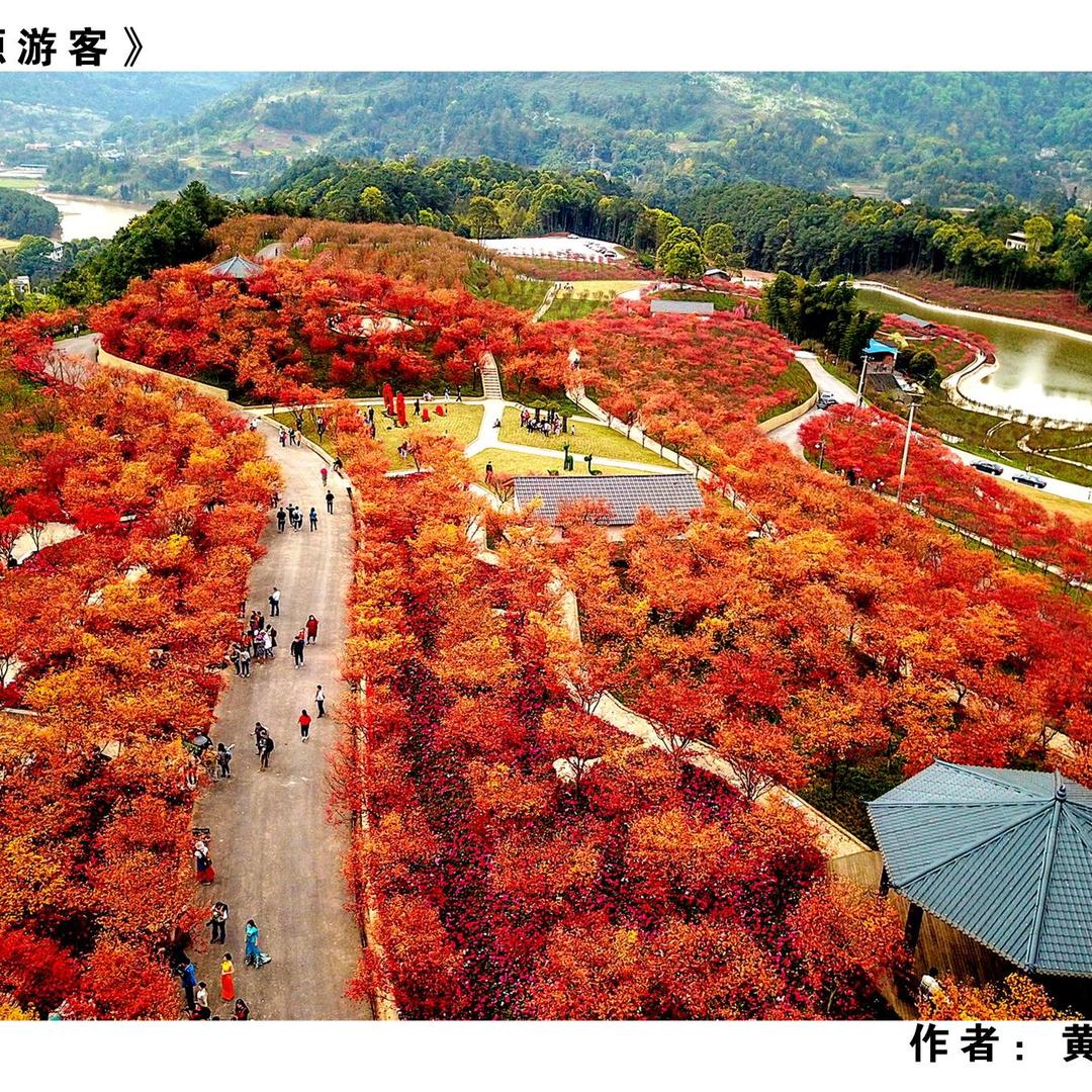 南湖多彩植物园