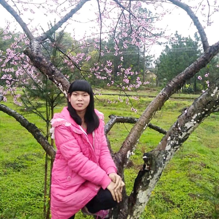 励志小燕