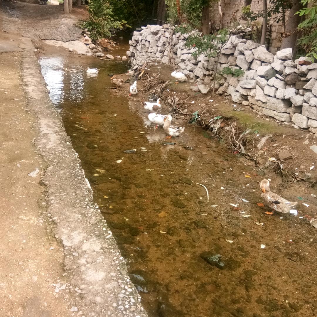 一缕阳光