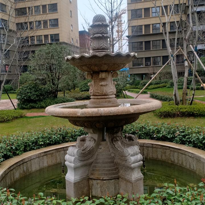 全家福