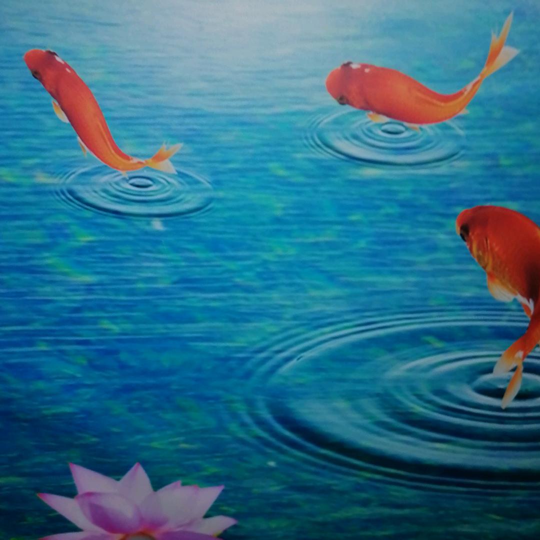 毛家三公子
