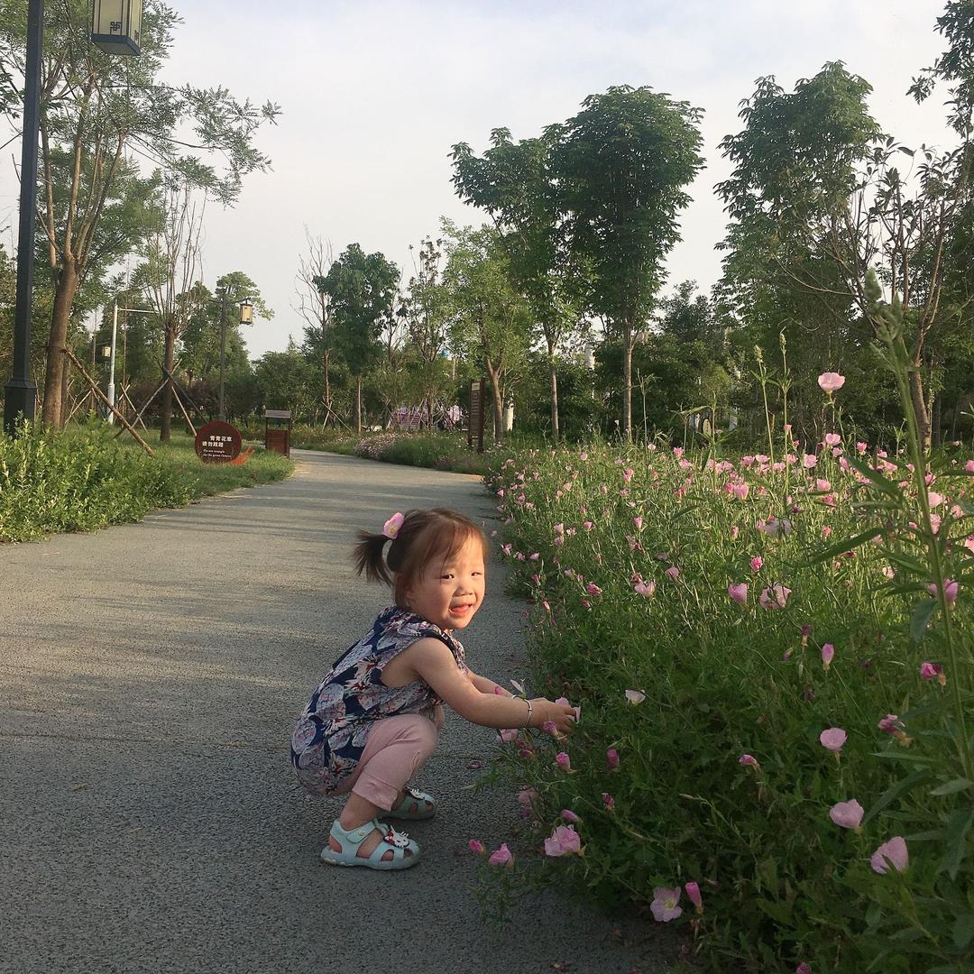 四妞