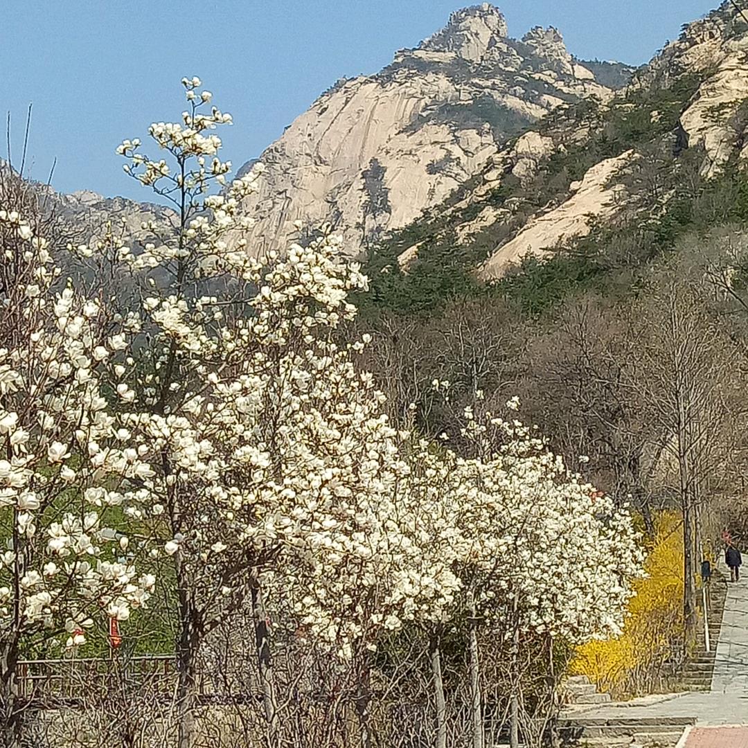 都挺好