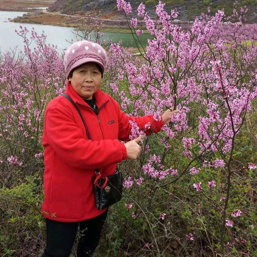 1839483090557吴小林