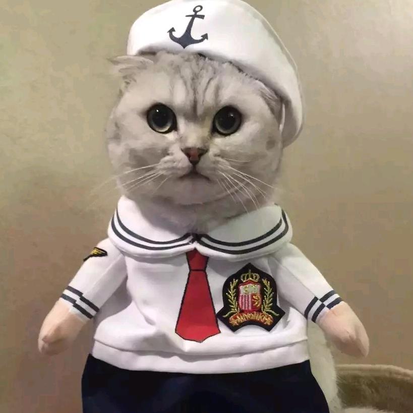 喵小咪