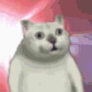 🌈皮斯科摩次卡贝斯塔