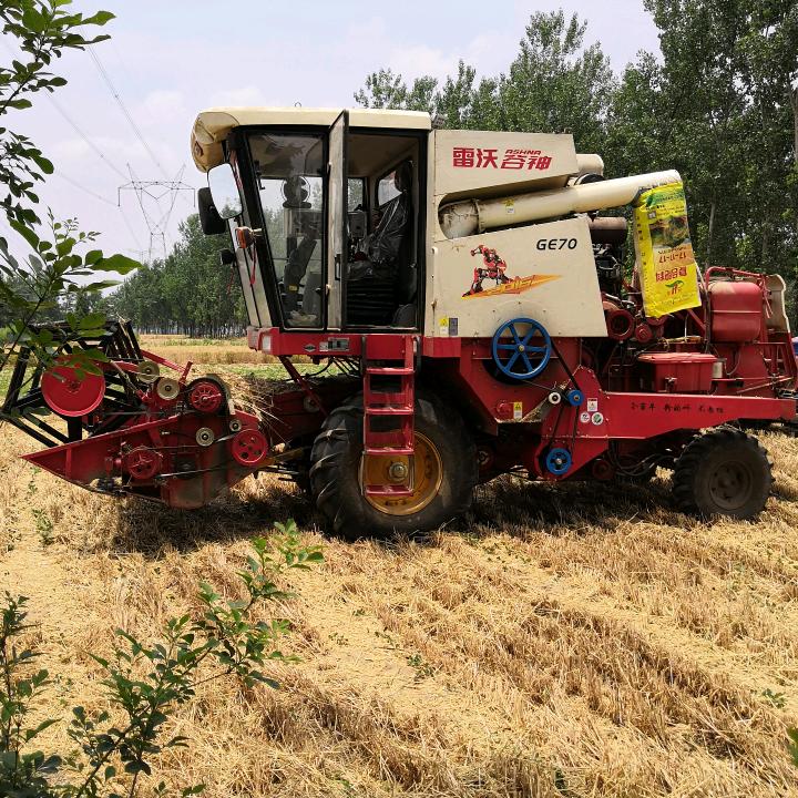 销魂往事随风6120