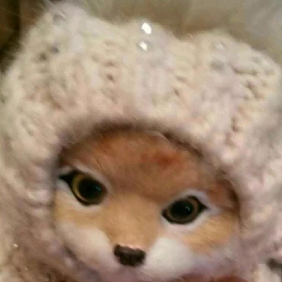 猫妞
