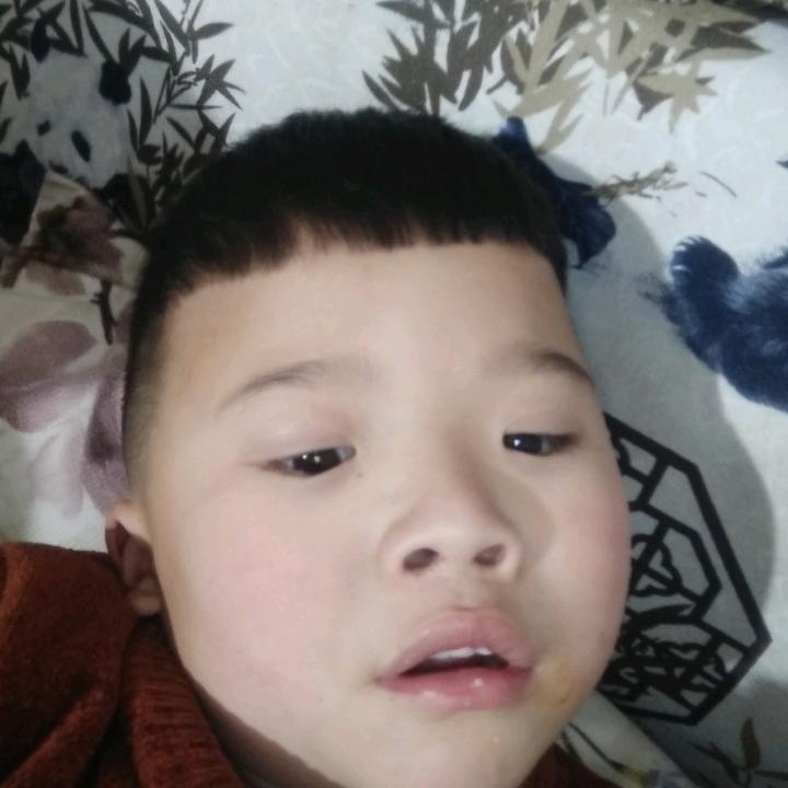 兔