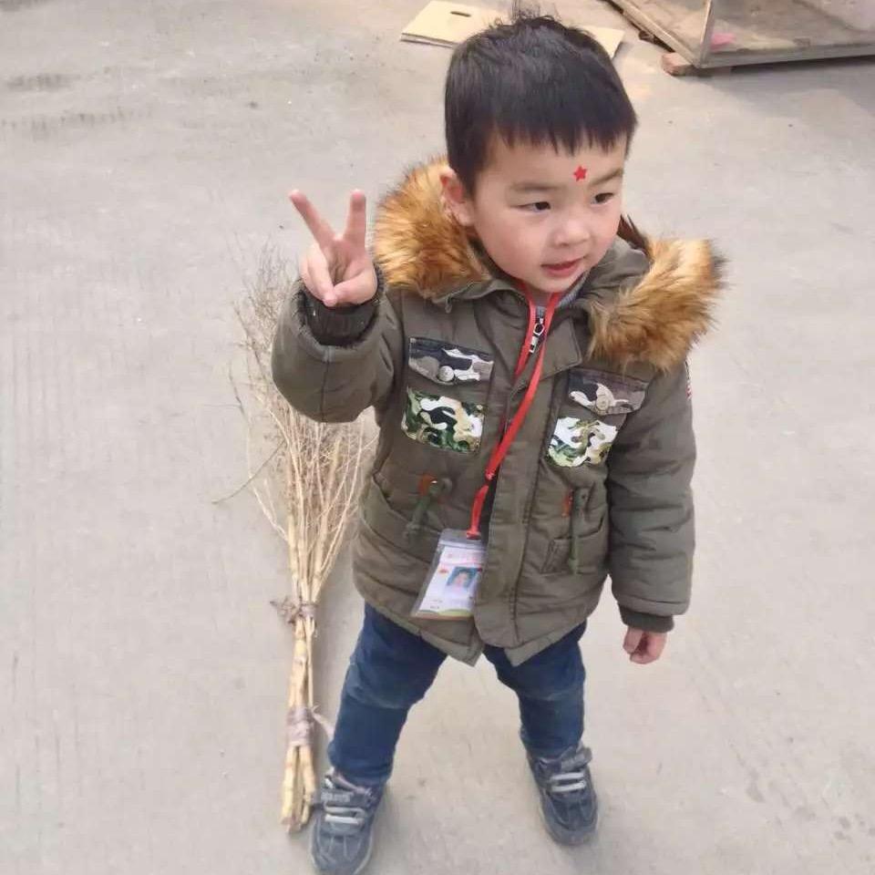 老虎🐯