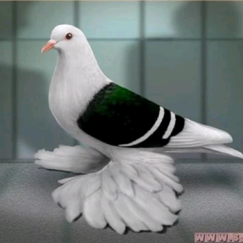 用户2526572520944