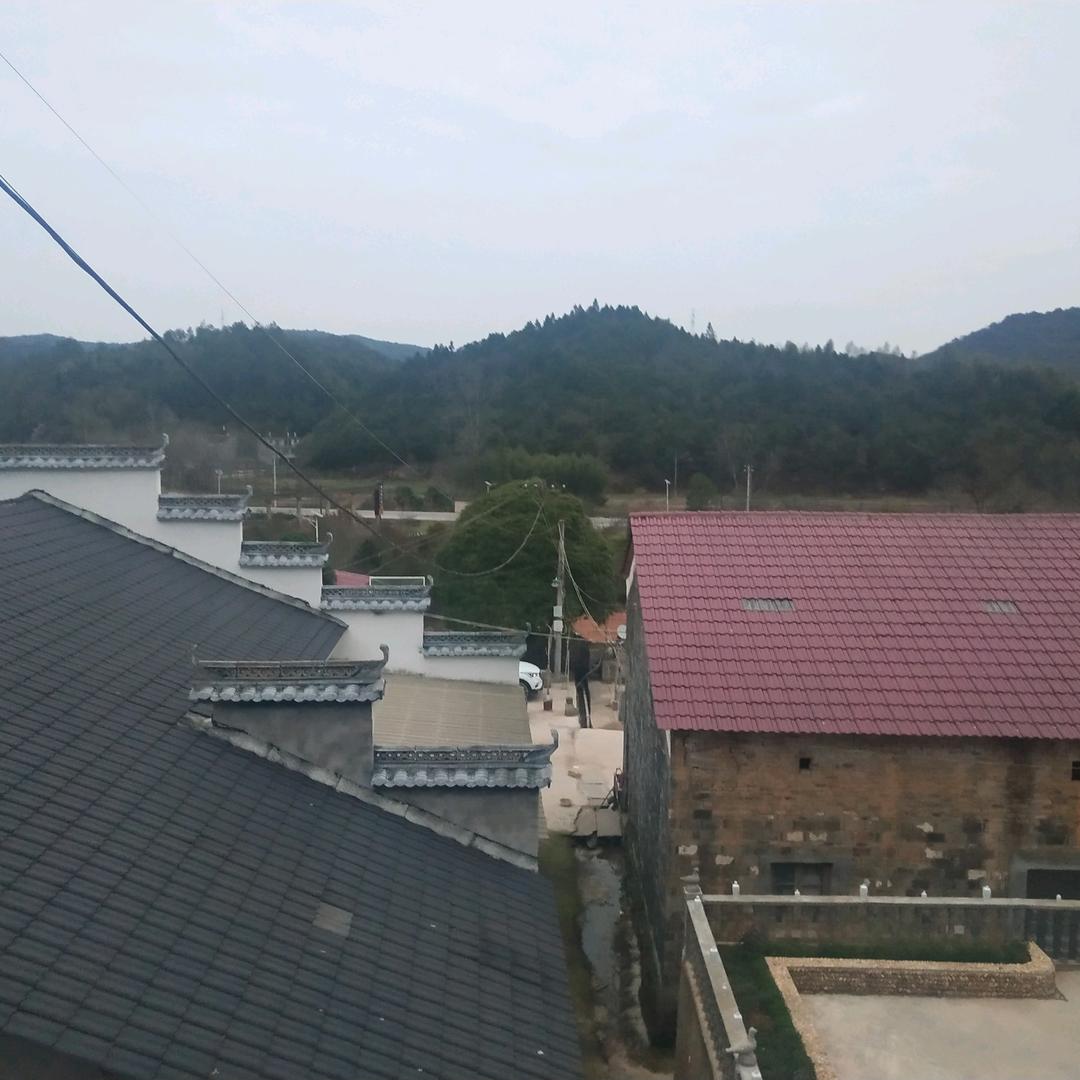 刘根寿