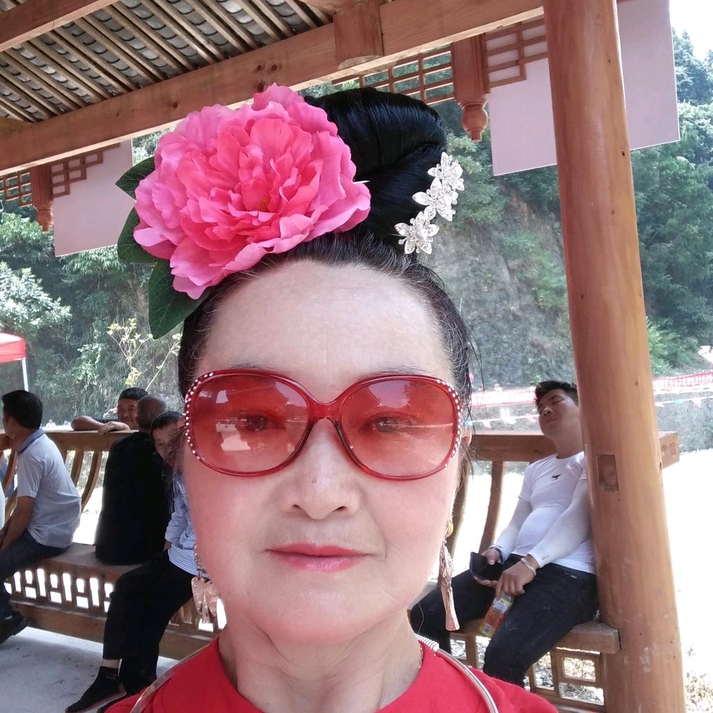 菊