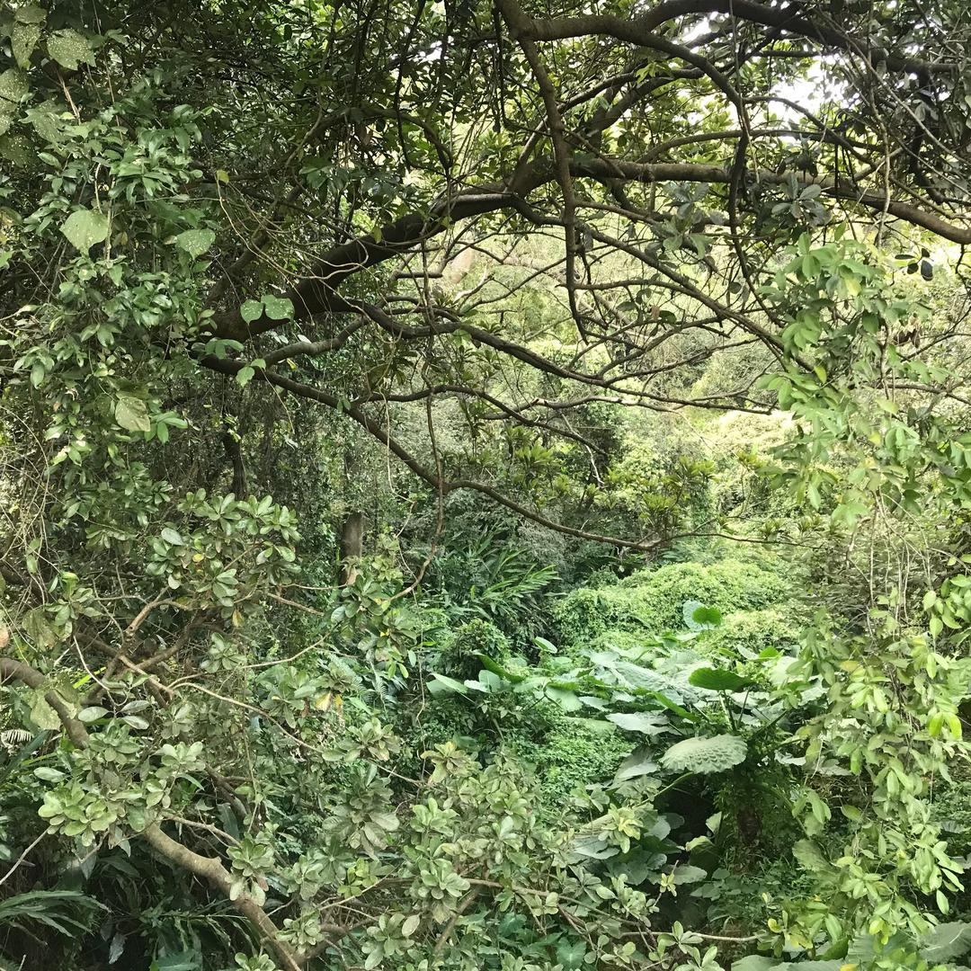 恩
