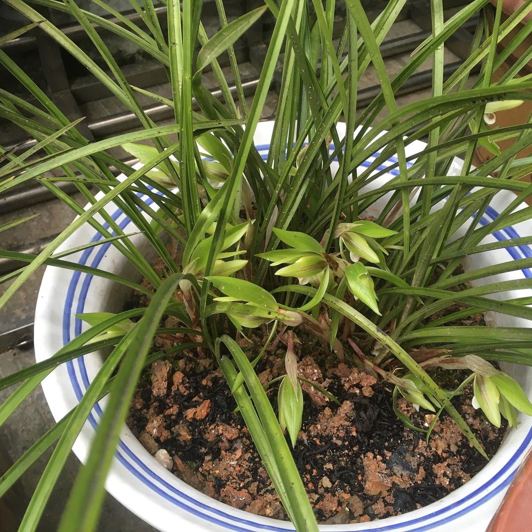 用户开心每一天