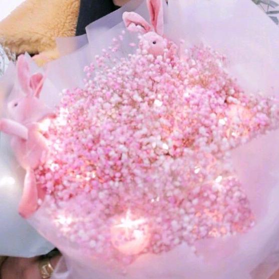 是你的猪兔子呀🐰