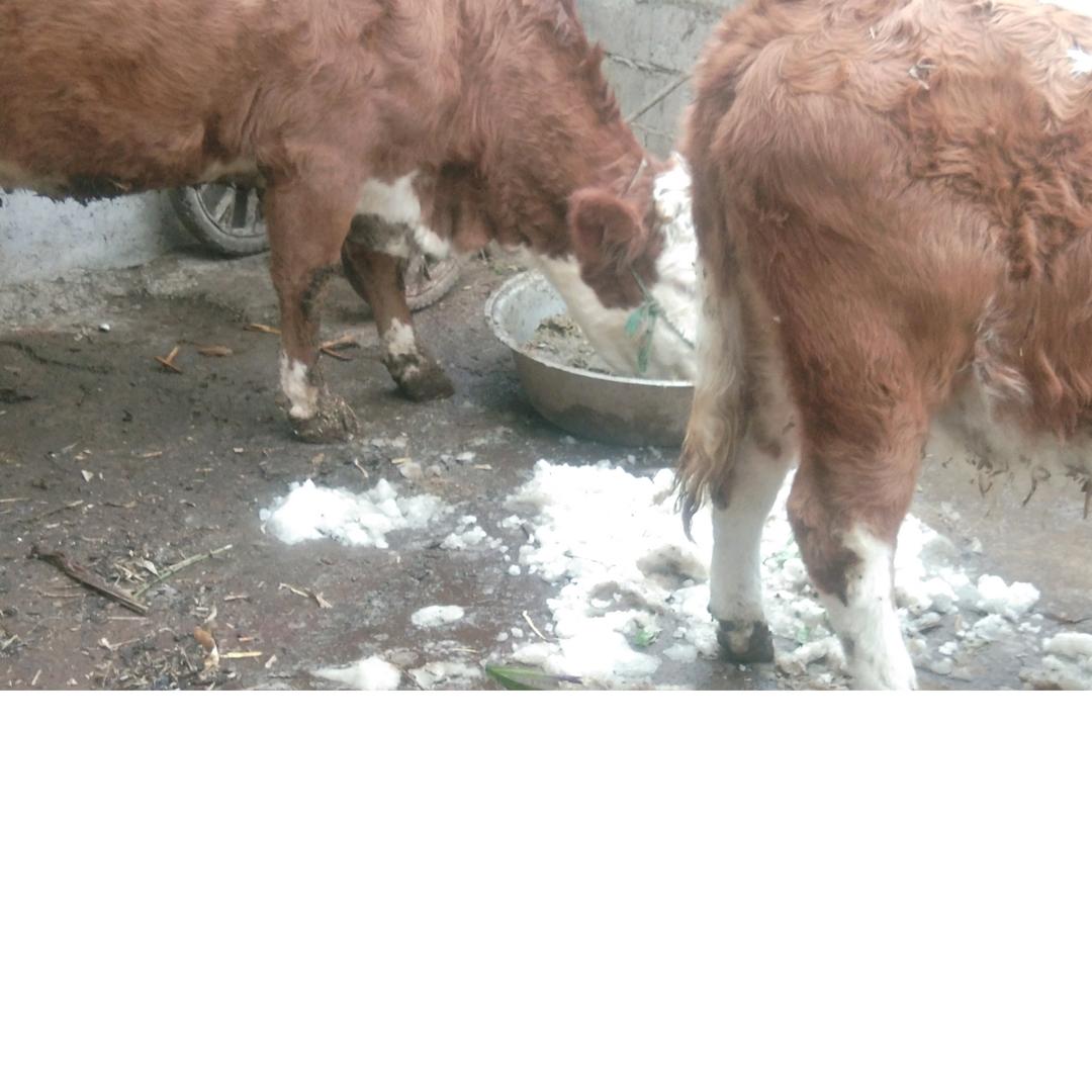 用户8762140424109张清荣