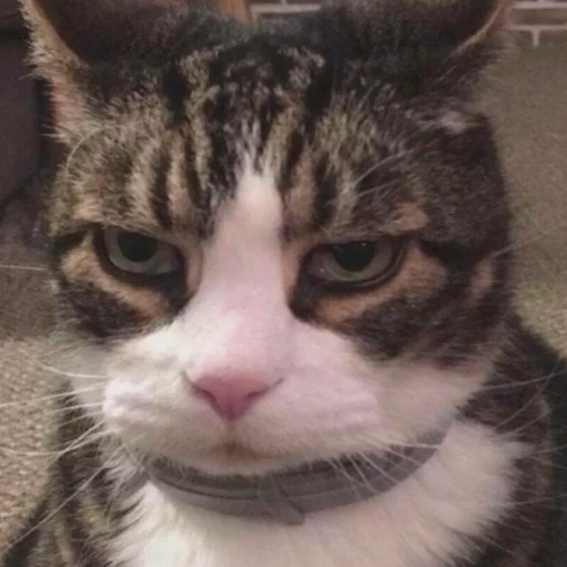 光阴如快马加鞭