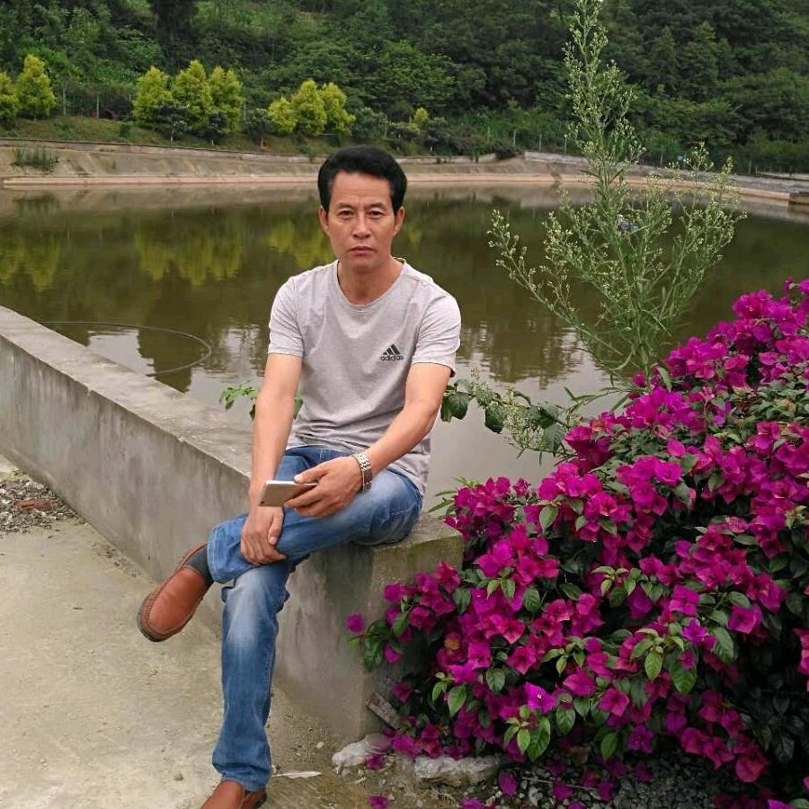 唐伯虎，点蚊香