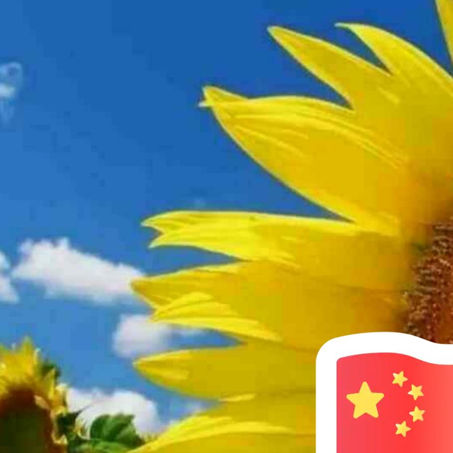 m仰望星空m