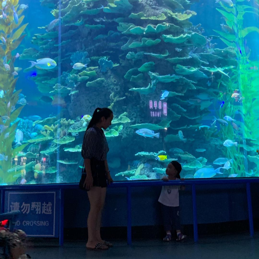 独家记忆