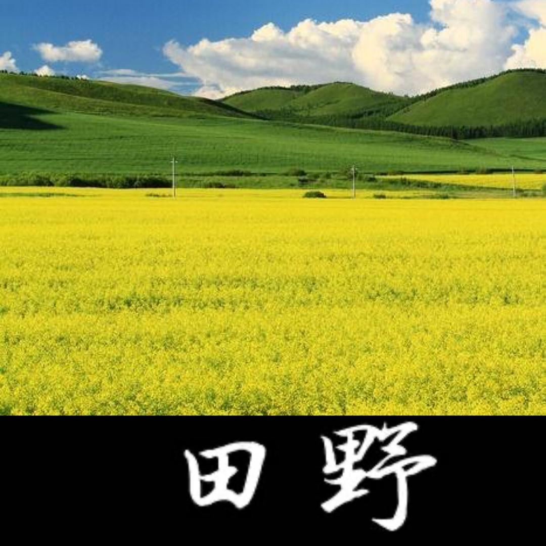 田野