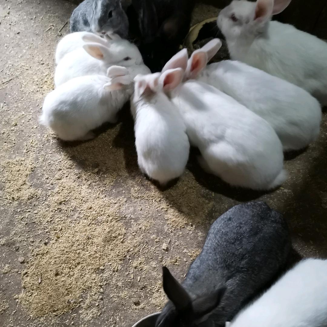 向前冲，不回头，加油