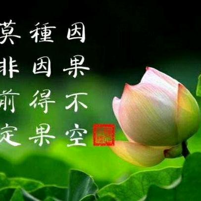 梓萱