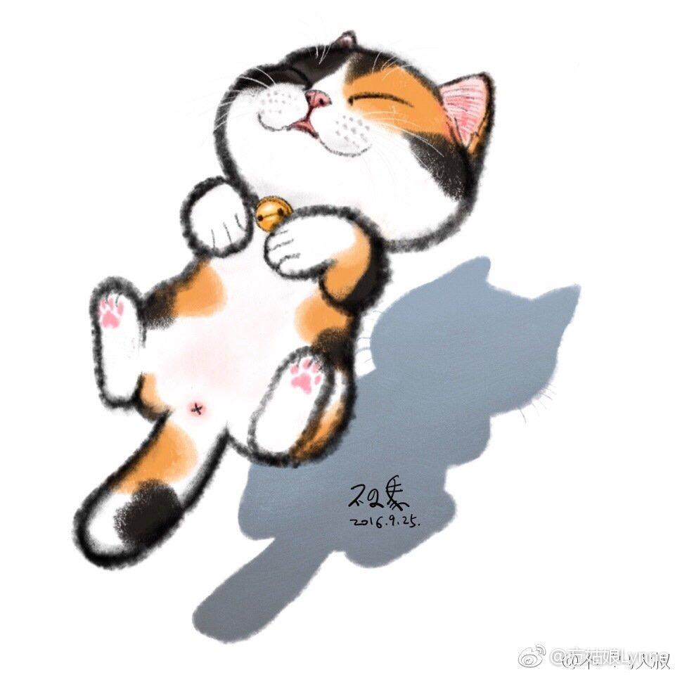 禅猫丫头