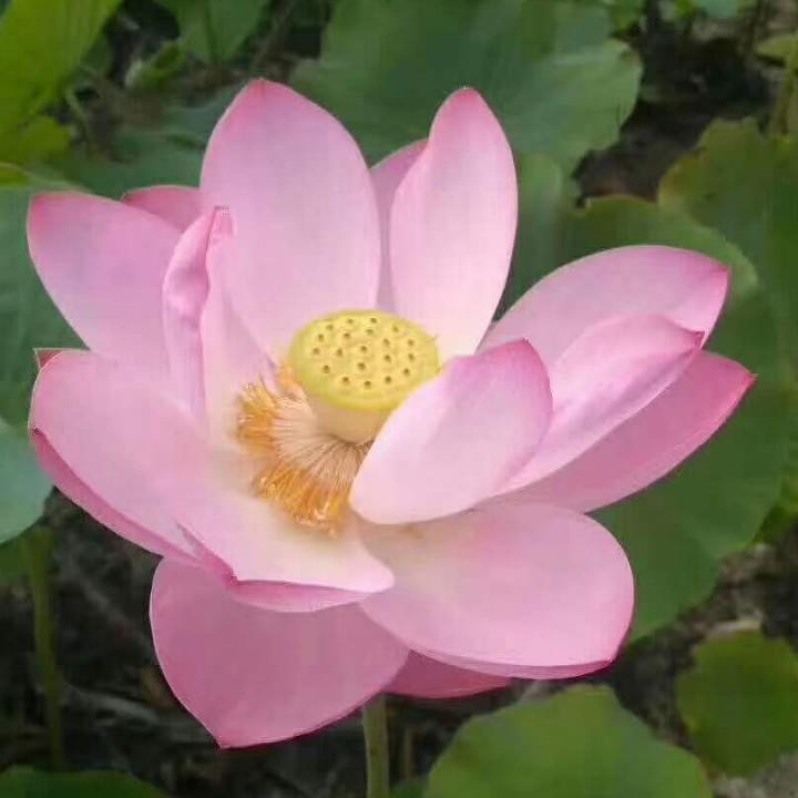 赵丽娜（牟平日日晟电器）