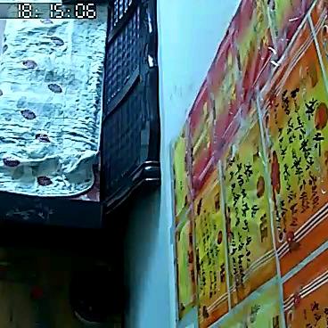 花花的世界，孤独的我